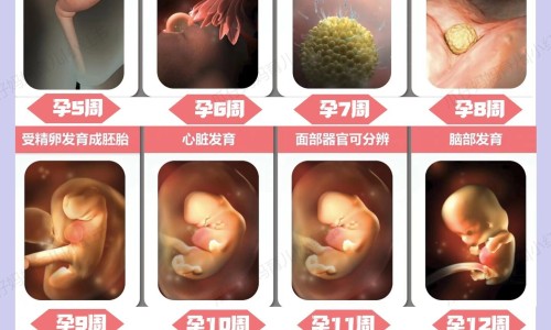 乳清蛋白和肌酸区别网—知名的乳清蛋白和肌酸区别是什么网站,分享乳清蛋白和肌酸区别是什么知识