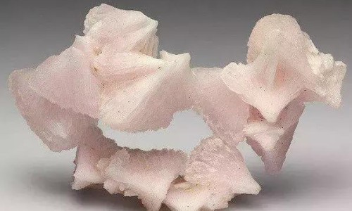 乳清蛋白肽和乳清蛋白粉的区别-乳清蛋白和肌酸区别网—知名的乳清蛋白和肌酸区别是什么网站,分享乳清蛋白和肌酸区别是什么知识